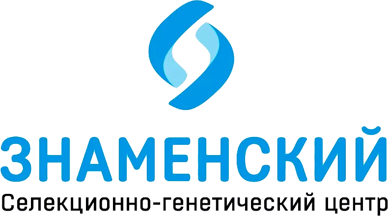 Знаменский центр Знаменский центр