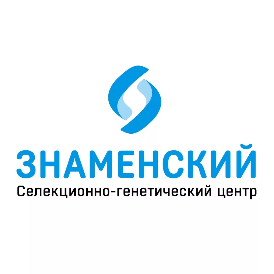 Знаменский центр