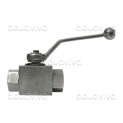 Кран шаровый 2-х ходовой, 500 бар, вх./вых.1/2"г, нерж. сталь Кран шаровый 2-х ходовой, 500 бар, вх./вых.1/2"г, нерж. сталь